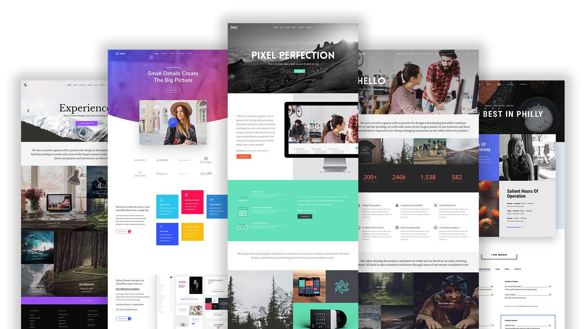 Salient Theme for WordPress – Responsive & Multi-Purpose